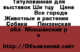 Титулованная для выставок Ши-тцу › Цена ­ 100 000 - Все города Животные и растения » Собаки   . Пензенская обл.,Мокшанский р-н